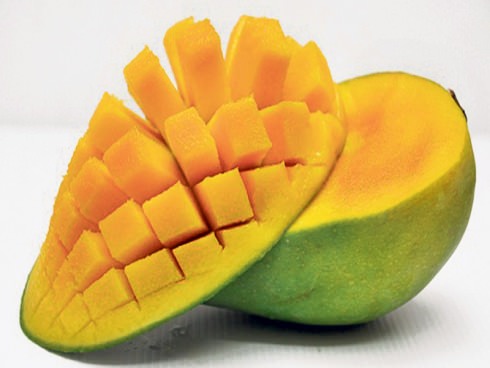 Jenis Mangga Populer Di Indonesia